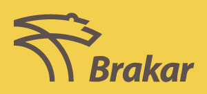 Logo Brakas